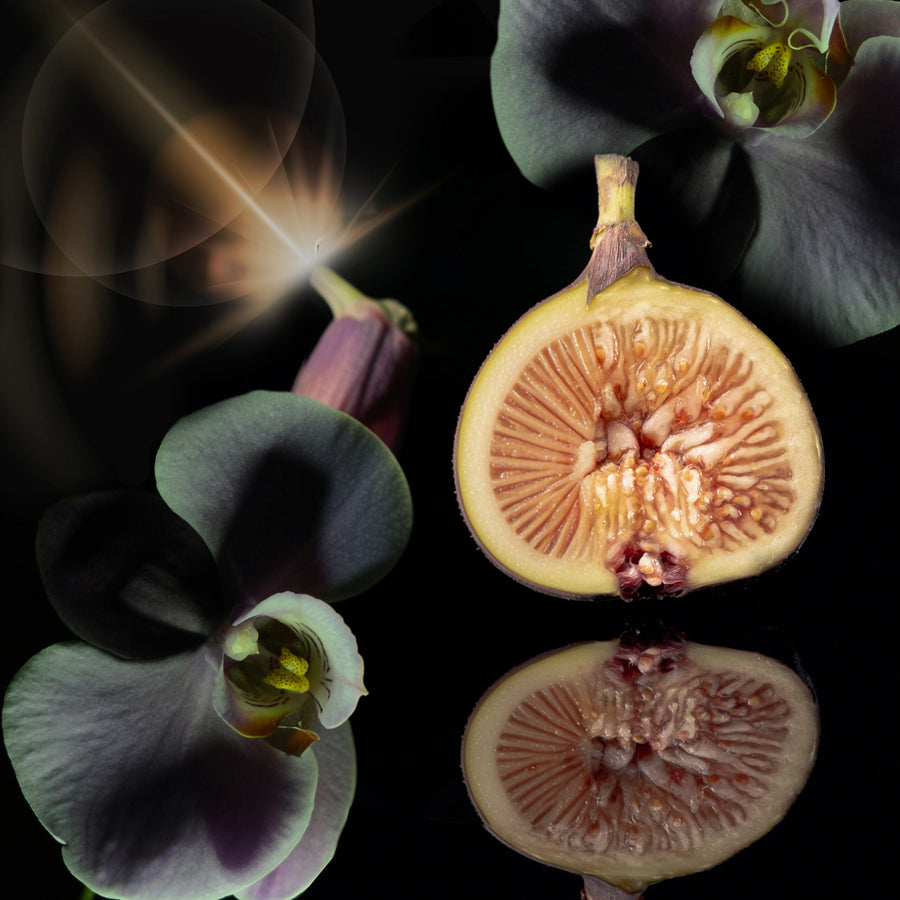 Vanilla Orchid (75ml) Feminine