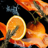 Mandarine