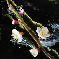 Neroli musk